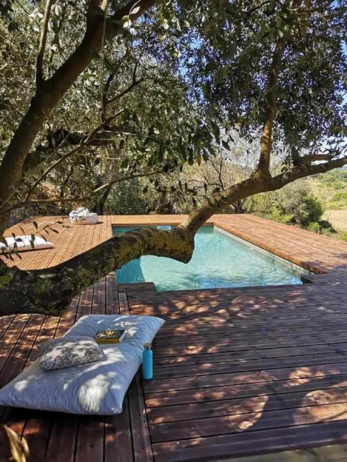 Biovilla Sustentabilidade Palmela Extérieur photo