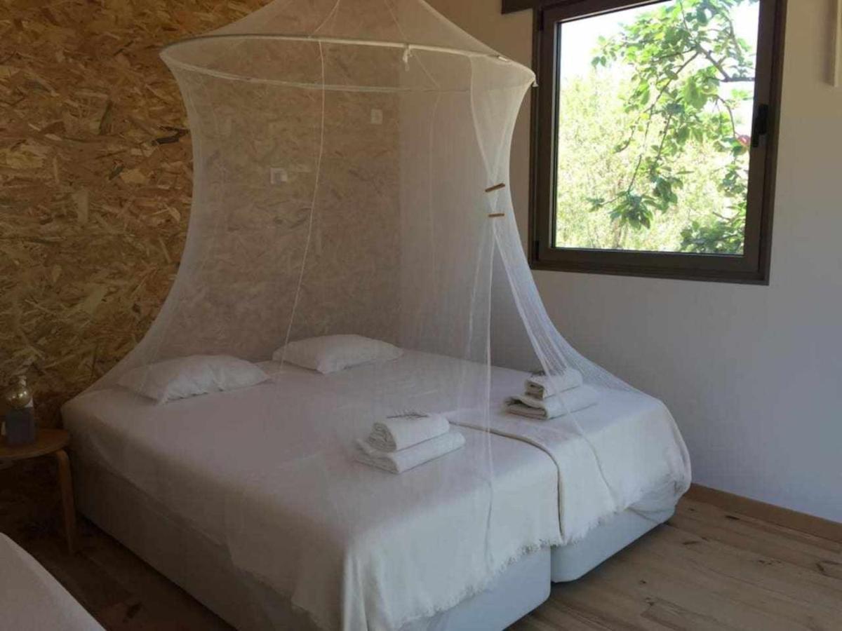 Biovilla Sustentabilidade Palmela Extérieur photo