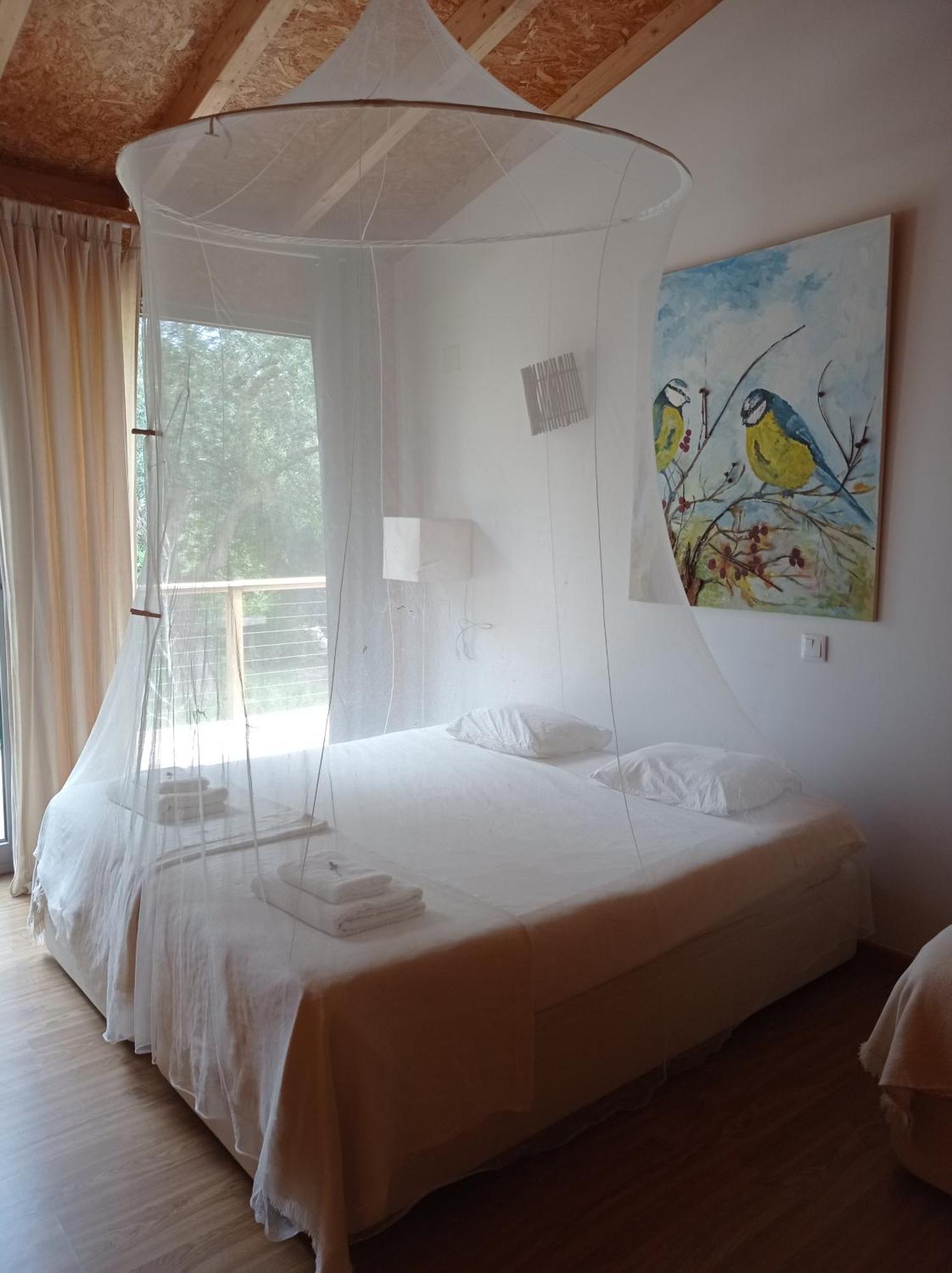 Biovilla Sustentabilidade Palmela Extérieur photo