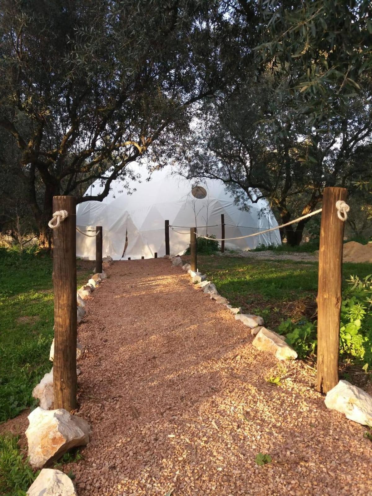 Biovilla Sustentabilidade Palmela Extérieur photo